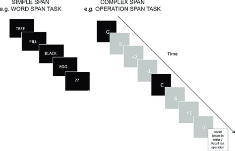 Basic Operation Of The Span Test Examples Of A Simple Span Task Word