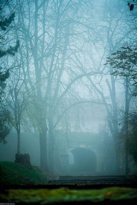 Mist Park In Cluj Napoca Transylvania Vlad The Impaler Come And See