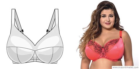 Best Bra Types Every Woman Should Know With Pictures