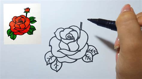 Cách Vẽ Cách Vẽ Hoa Hồng Siêu đơn Giản Cho Người Mới Bắt đầu