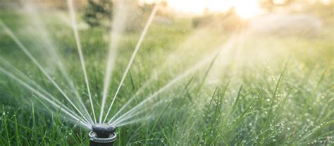 How To Conserve Water For Your Lawn 4 Lawn Watering Tips