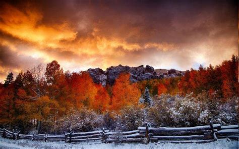 Nature Fall Snow Landscape Fence Forest Clouds