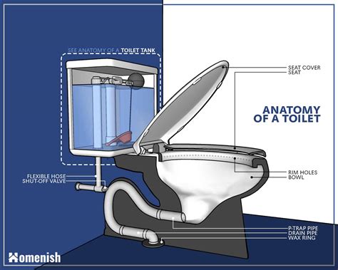 Parts Of A Toilet And How It Works Detailed Diagrams Homenish
