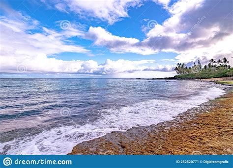 Plage De Laniakea Plage Tortue Sur La Rive Nord Oahu Hawaii Image Stock