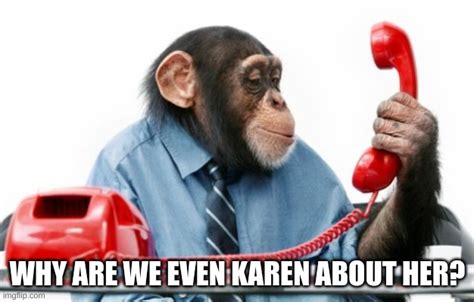 Please Stop Karen Imgflip