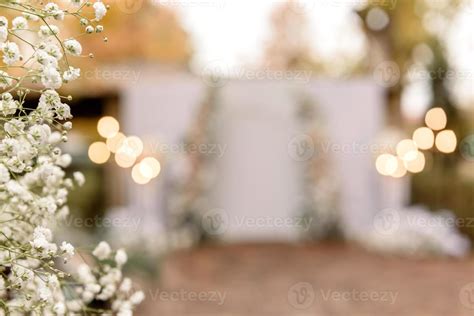 Wedding Divider Stock Photos Images And Backgrounds For Free Download