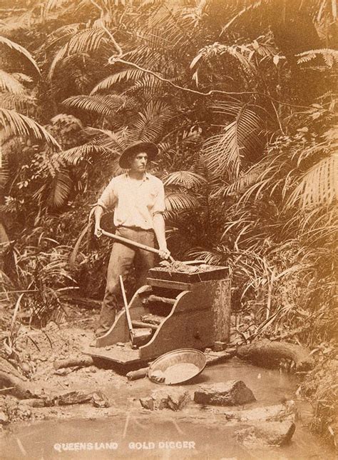 Gold Digging Near Cairns Circa 1890 1910 Australian Photographs C