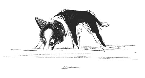 Some Dog Sketches Dog Sketch Dog Drawing Animal Design
