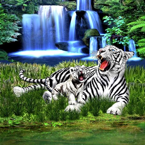 Tiger Cub Learns To Roar Digital Art By Glenn Holbrook Pixels