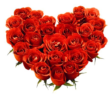 Variety of flowers bouquet of flowers vase of flowers bunch of flower kinds of flowers bunch of carrots bunch of. Bouquet of roses PNG image, free picture download