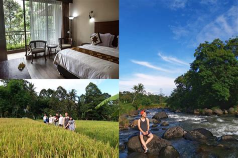 Enjoy free cancellation on most hotels. Rekomendasi 5 Penginapan Dan Hotel Murah Di Bogor, Bagi ...