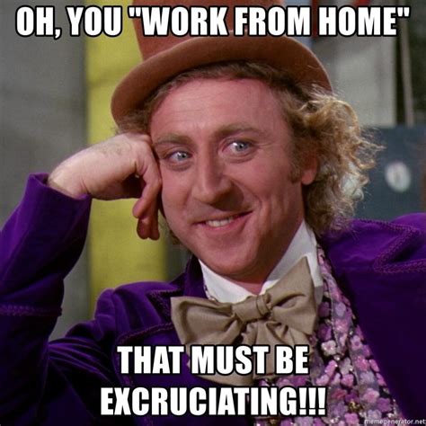 Still Working From Home Use These Memes To Describe The Experience