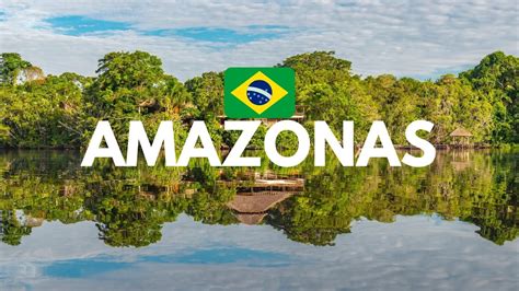 10 Lugares Que Debes Conocer Del Amazonas De Brasil 🌱🐊🐒🇧🇷 Youtube