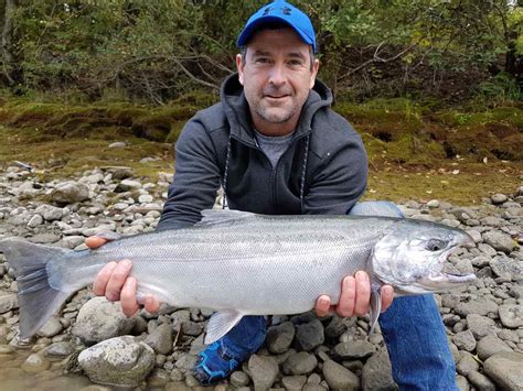 Coho Salmon Fishing In Bc Bc Fishing Reports Pemberton Fish Finder