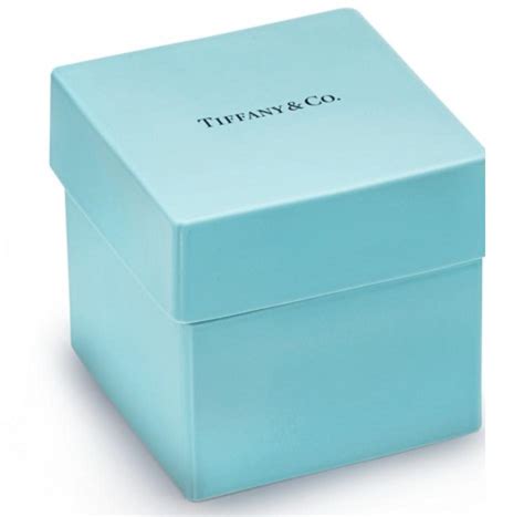 Tiffany And Co Everyday Objects Bone China Tiffany Box Brand New With