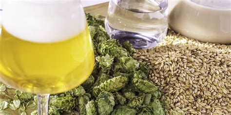 Beer Ingredients Hops Yeast Water Grains Beer Maverick
