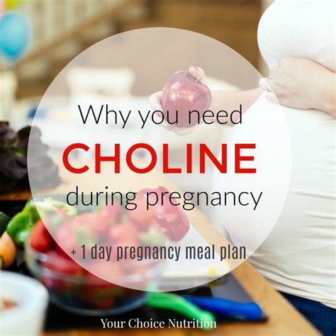 Sometimes there is no opportunity to manage to eat something every three hours but, at least, you can try, and the results will be visible soon. Why You Need Choline During Pregnancy - Your Choice Nutrition