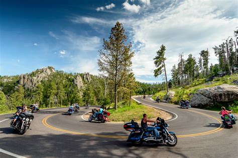 Today's big batch of photos completes my album of wharf rat rally shots. 81st Annual Sturgis Motorcycle Rally | Black Hills ...