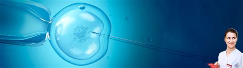 Important Fertilizarea In Vitro I O Metod Eficienta De Diagnostic Embriolog Andreea Luca