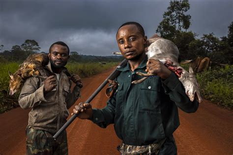 Bushmeat Hunters By Brent Stirton World Photography Organisation