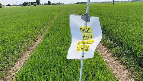 How To Get More From Your On Farm Crop Trials Farmers Weekly