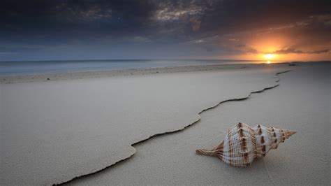 Wallpaper Sunlight Sunset Sea Shore Sand Reflection Beach