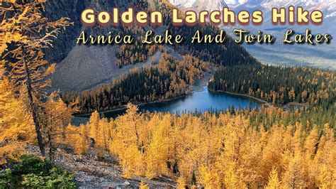 Twin Lakes Via Arnica Lake Larches Hike Banff National Park Canada
