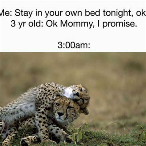 Our Complete List Of 20 Funniest Parenting Memes