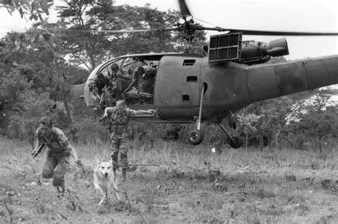 275 Best Rrhodesia Images On Pholder Rhodesian Troops Flying The