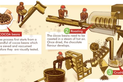 13 Stages Of Chocolate Production