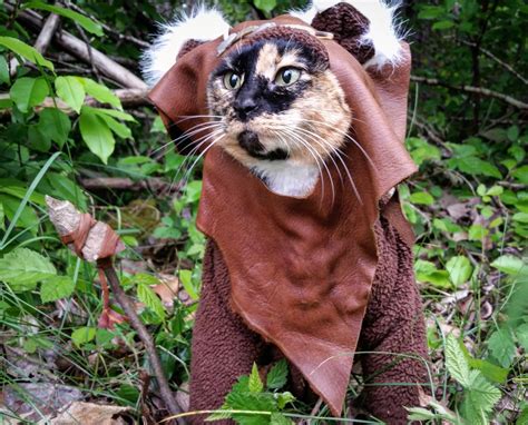 👻 Cat Cosplay 👻 On Twitter Ee Chee Wa Meow Starwarsday