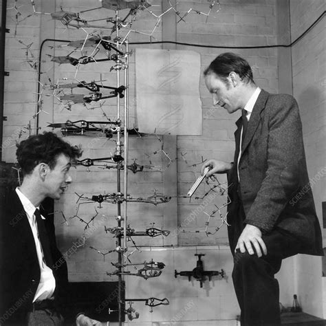 Watson And Crick Stock Image H4000217 Science Photo Library