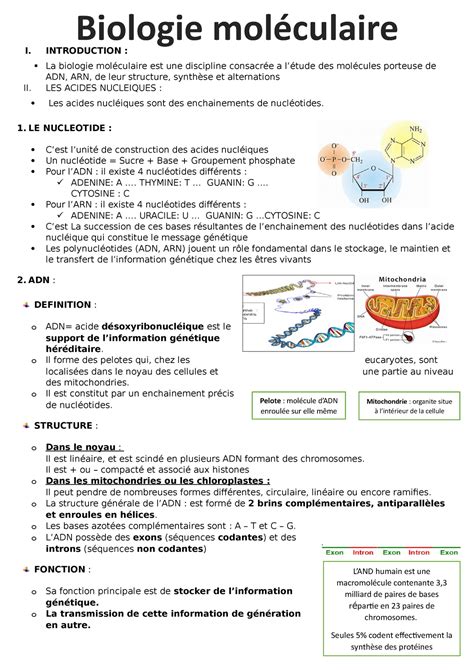 Biologie Moleculaire I Introduction La Biologie Moléculaire Est