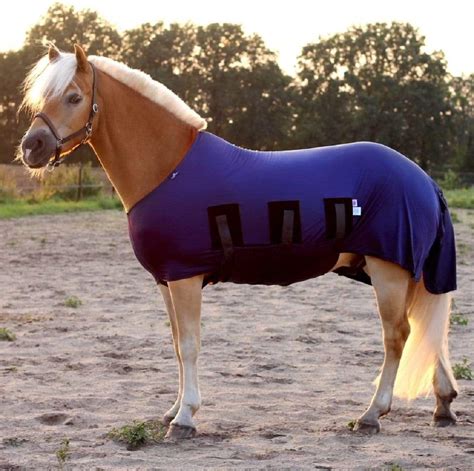 Horse Wear Snuggy Hoods Ltd