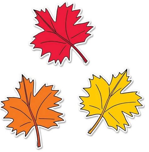 Fall Leaves 6 Cutouts Inspiring Young Minds To Learn