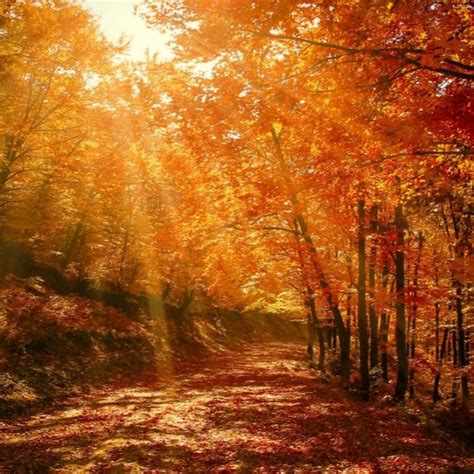 Best Places To Be Leaf Peepers In The Northeast Just Short Of Crazy