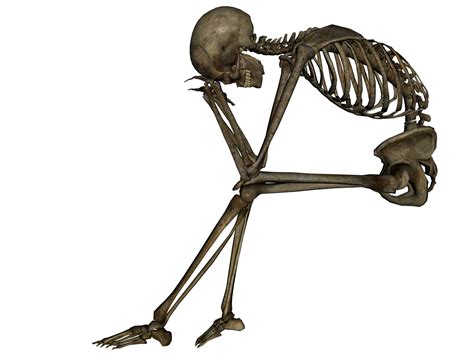 Skeleton Png Image Transparent Image Download Size 2400x1800px