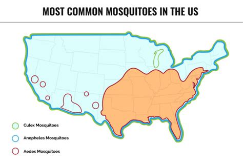 Mosquitoes Are Everywhere Across The United States Urban Tribe