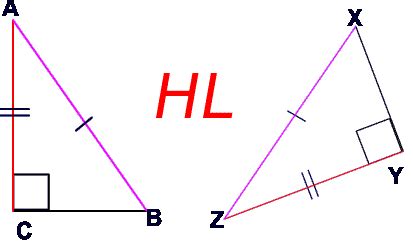 Is that hypotenuse is (geometry) the side of a right triangle opposite the right angle while leg is the lower limb of a human being or animal that extends from the groin to the ankle. Pictures of hypotenuse leg. free images that you can ...