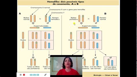 Herança Ligada aos Cromossomos Sexuais YouTube