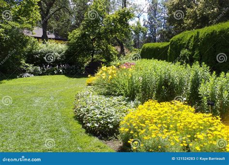 Beautiful Flowers And Bushes Line A Green Grass Path Through A Lush