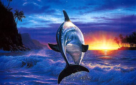 Cool Dolphin Wallpapers Top Free Cool Dolphin Backgrounds
