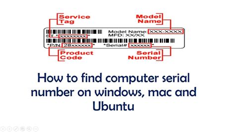 How To Find Computer Serial Number In Windows Mac And Ubuntu Hindi