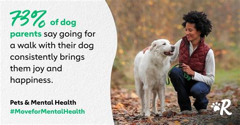 How Do Dogs Improve Your Mental Health Recovery Ranger