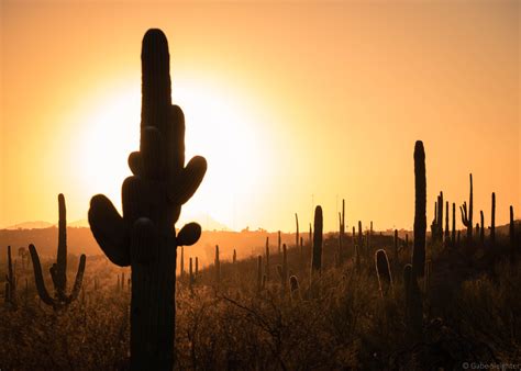 Took advantage of this nice weather - Sabino Canyon was lookin' real