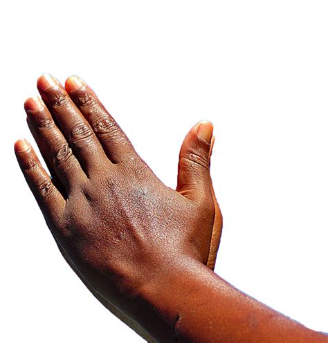 Praying Hands Prayer African American God Praying Png Download 977