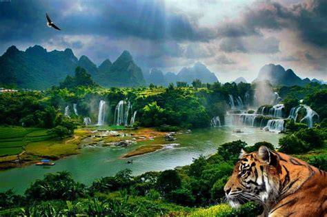 Siberian Scenic Mountains Nature River Tiger Waterfalls Hd