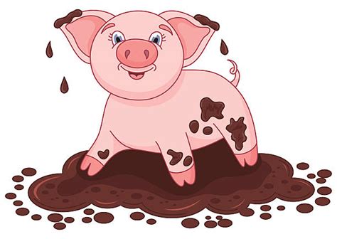 Best Pigs In Mud Cartoon Illustrations Royalty Free Vector Graphics