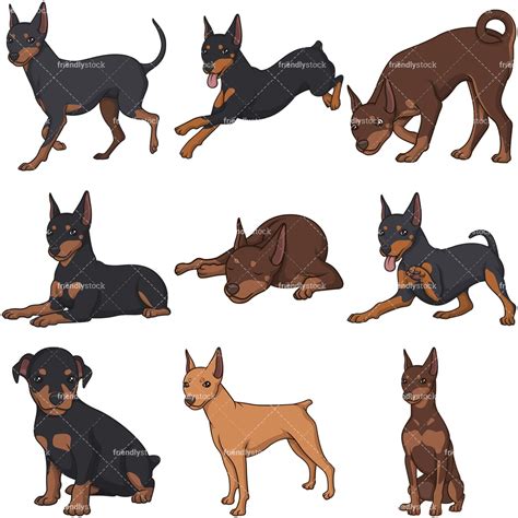 Cartoon Mini Pinscher Dogs Clipart Vector Collection