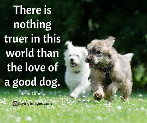 Unconditional Love Of A Dog Quotes Twitter Best Of Forever Quotes